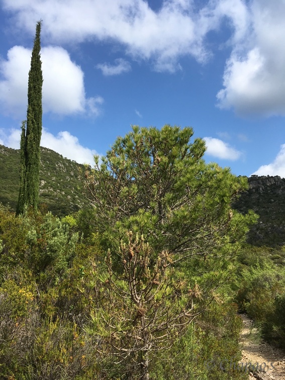 St Guilhem-20