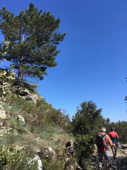 Aigoual-95.jpg