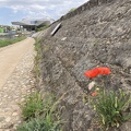 Confluences 06