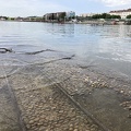 Confluences 07