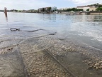 Confluences 07